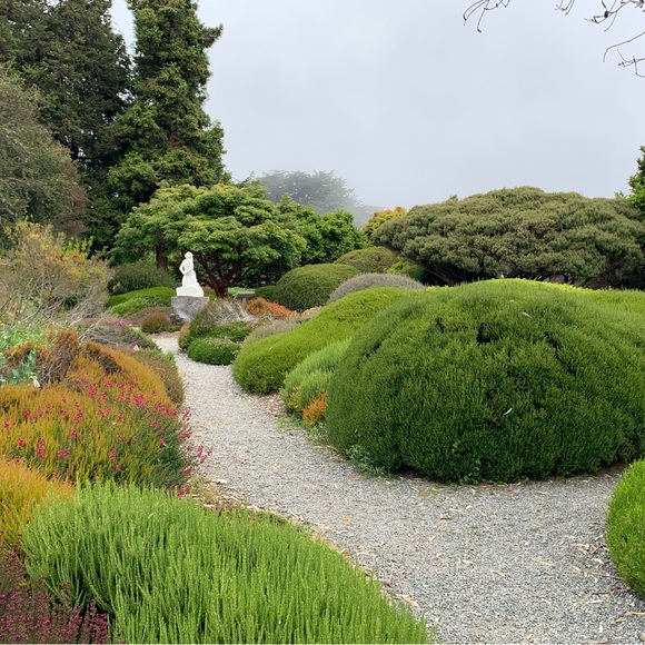 Meet your Posher, David - Picture 1 of 1